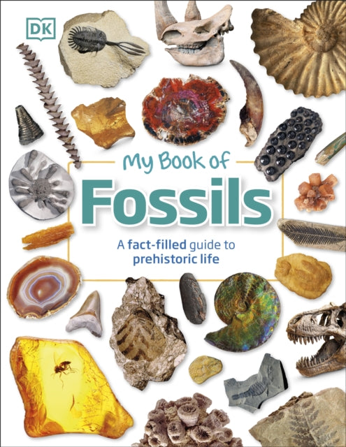 My Book of Fossils: Prehistoric treasures to intrigue, inspire, and thrill! - DK