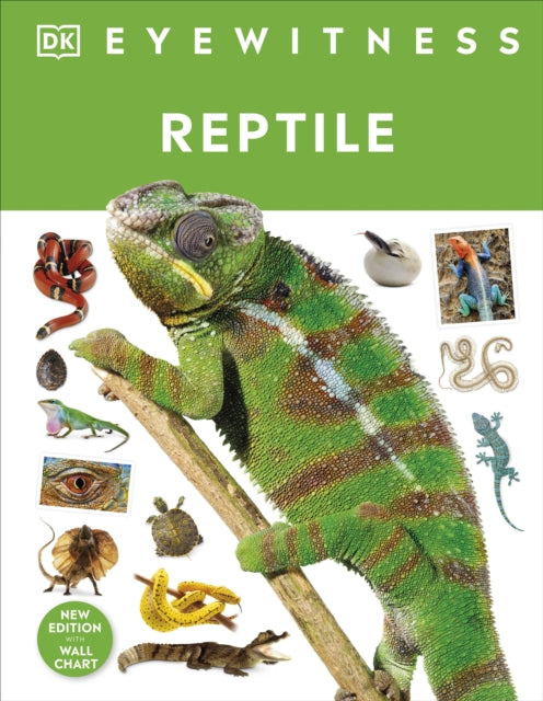 Reptile-9780241631676