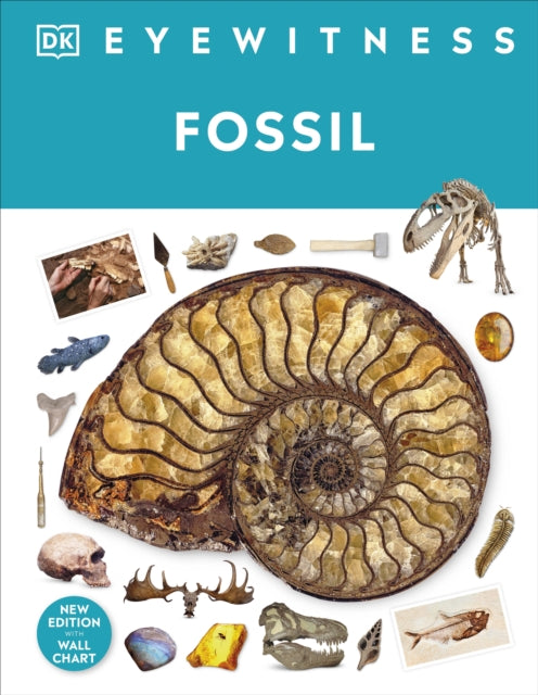 Fossil-9780241652770