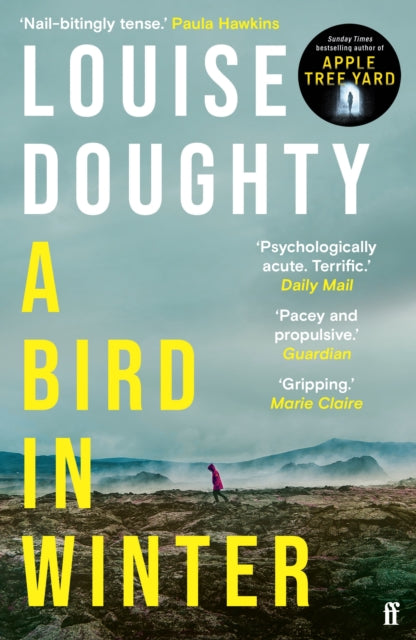 A Bird in Winter : 'Nail-bitingly tense and compelling' Paula Hawkins-9780571322190