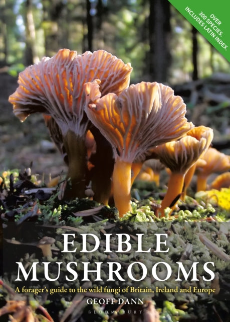 Edible Mushrooms : A forager&#39;s guide to the wild fungi of Britain, Ireland and Europe-9780857843975