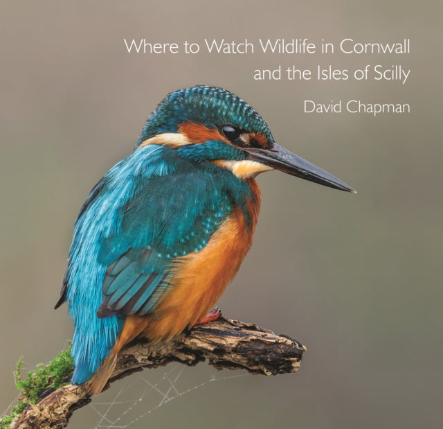 Wild Food Foraging in Cornwall and the Isles of Scilly-9780906720967