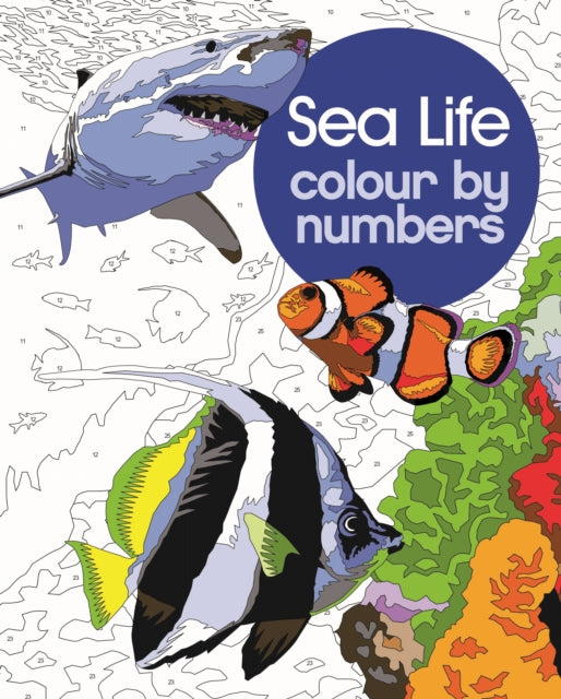 Sea Life Colour by Numbers-9781398834521