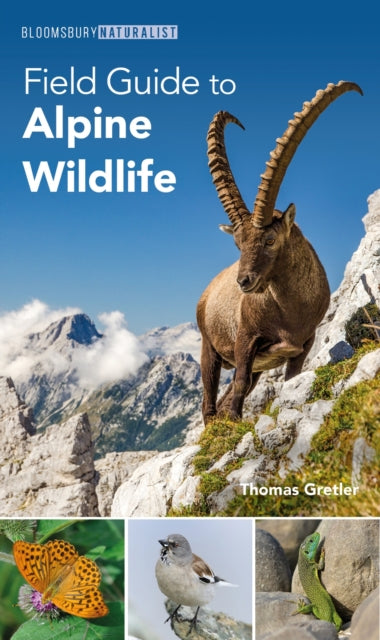 Field Guide to Alpine Wildlife-9781399409414