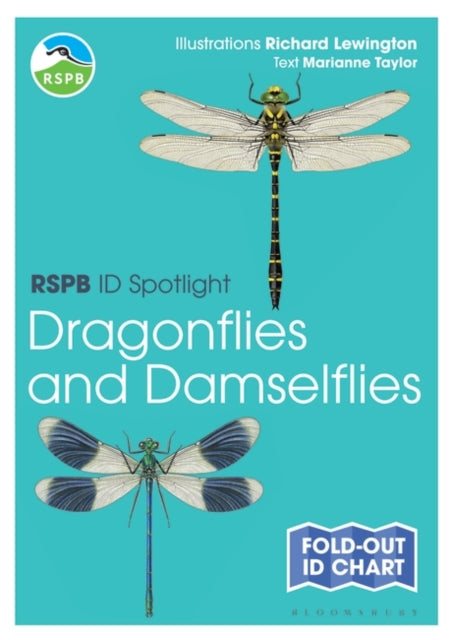 RSPB ID Spotlight - Dragonflies and Damselflies-9781472974280