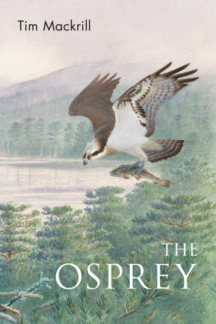 The Osprey-9781472992611