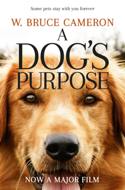 A Dog's Purpose-9781509852826