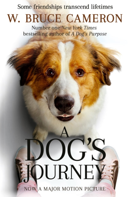 A Dog's Journey-9781529013931