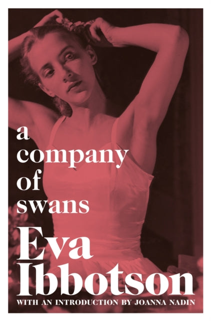 A Company of Swans-9781529023022