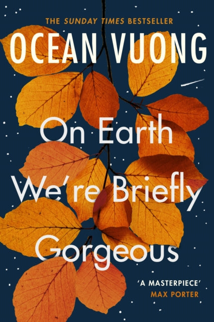 On Earth We&#39;re Briefly Gorgeous-9781529110685