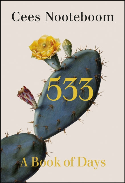 533 : A Book of Days-9781529402599