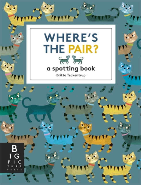 Where&#39;s the Pair? : A Spotting Book-9781800787872