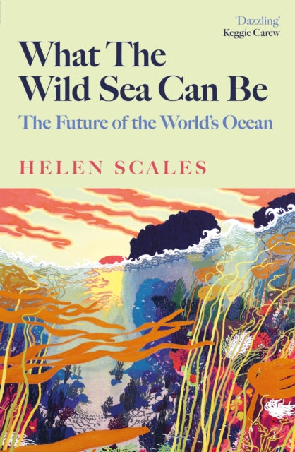 What the Wild Sea Can Be : The Future of the World&#39;s Ocean-9781804710500