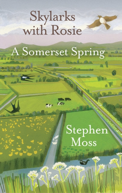 Skylarks with Rosie: A Somerset Spring - Stephen Moss