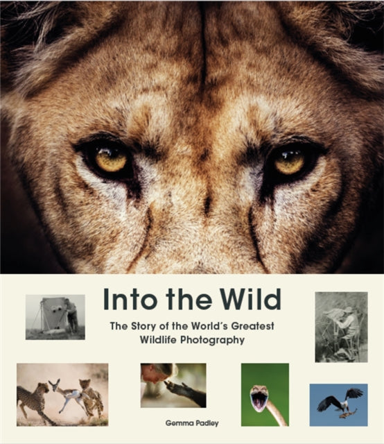 Into the Wild: The Story of the World&#39;s Greatest Wildlife Photography - Gemma Padley