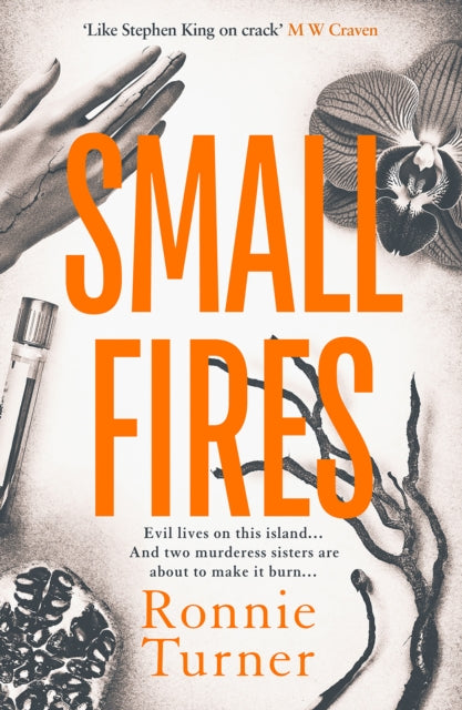 Small Fires : This year&#39;s most unsettling, hypnotic contemporary gothic thriller-9781916788473